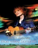 Blue Valley Songbird poster