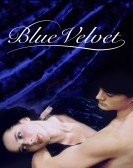 poster_blue-velvet_tt0090756.jpg Free Download