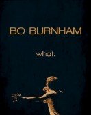 Bo Burnham: what poster