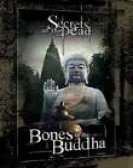 poster_bones-of-the-buddha_tt2825842.jpg Free Download