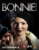 Bonnie & Clyde poster