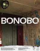 Bonobo Free Download