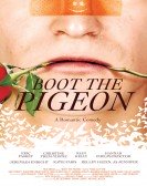 poster_boot-the-pigeon_tt2634336.jpg Free Download