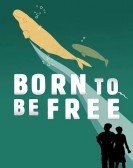 Born to Be Free Free Download