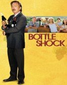 Bottle Shock Free Download