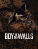 Boy in the Walls Free Download