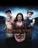 poster_breaking-wind_tt1651323.jpg Free Download