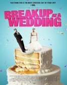 Breakup at a Wedding Free Download