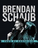 Brendan Schaub: You'd Be Surprised poster