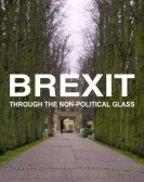 Brexit Through the Non-political Glass Free Download