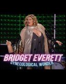 poster_bridget-everett-gynecological-wonder_tt4851758.jpg Free Download