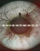 Brightwood Free Download