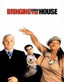 poster_bringing-down-the-house_tt0305669.jpg Free Download