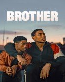 Brother Free Download