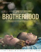 poster_brotherhood_tt14915544.jpg Free Download