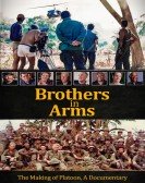 Brothers in Arms Free Download