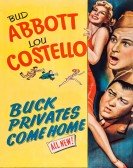 Buck Privates Come Home Free Download