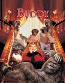 Buddy Free Download