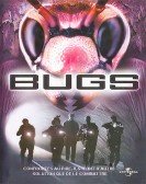 Bugs Free Download