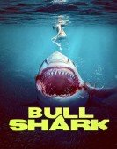 poster_bull-shark_tt14912006.jpg Free Download