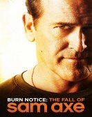 poster_burn-notice-the-fall-of-sam-axe_tt1697851.jpg Free Download