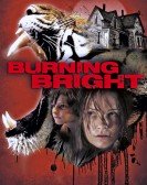 Burning Bright Free Download