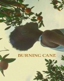 Burning Cane Free Download