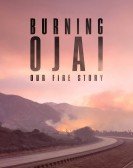 poster_burning-ojai-our-fire-story_tt13355988.jpg Free Download