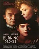 poster_burning-secret_tt0094816.jpg Free Download