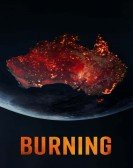 poster_burning_tt14671620.jpg Free Download