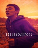 poster_burning_tt7282468.jpg Free Download