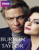 Burton and Taylor Free Download