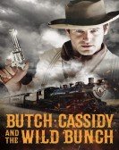 Butch Cassidy and the Wild Bunch poster