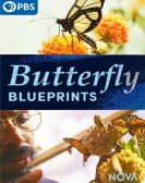 poster_butterfly-blueprints_tt15801860.jpg Free Download