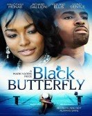 Butterfly Free Download