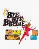 poster_bye-bye-birdie_tt0056891.jpg Free Download