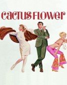 Cactus Flower Free Download