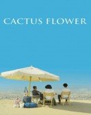 Cactus Flower Free Download