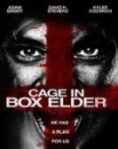 Cage in Box Elder Free Download