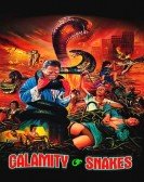 Calamity of Snakes Free Download