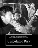 Calculated Risk Free Download