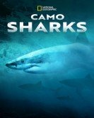 poster_camo-sharks_tt21211218.jpg Free Download