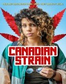 poster_canadian-strain_tt8854384.jpg Free Download