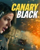 Canary Black Free Download