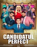 Candidatul perfect Free Download