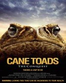 Cane Toads: The Conquest Free Download