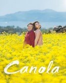 Canola Free Download