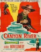 Canyon River Free Download