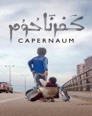 poster_capernaum_tt8267604.jpg Free Download