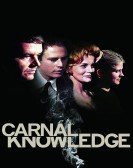 Carnal Knowledge Free Download